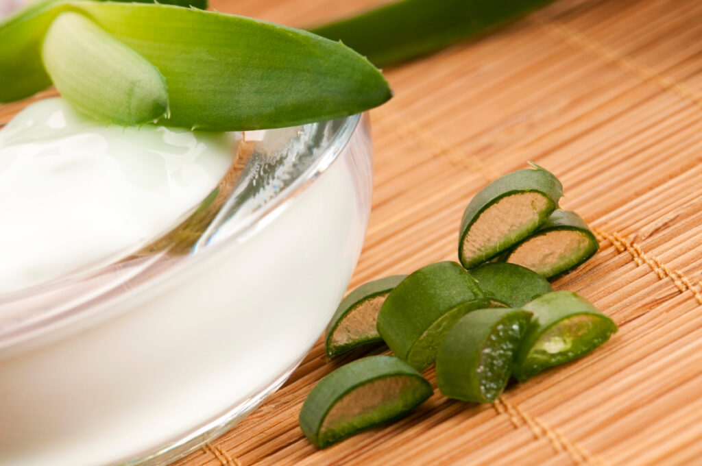 Aloe vera, usos y propiedades de esta planta que rejuvenece la piel y  depura el organismo